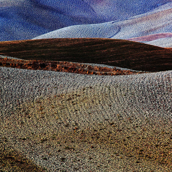 Photograph Della Latta Massimo  Terre Di Toscana on One Eyeland